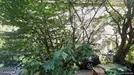 Apartment for rent, Solna, Stockholm County, &lt;span class=&quot;blurred street&quot; onclick=&quot;ProcessAdRequest(13876384)&quot;&gt;&lt;span class=&quot;hint&quot;&gt;See streetname&lt;/span&gt;[xxxxxxxxxxxxx]&lt;/span&gt;