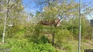 Apartment for rent, Mönsterås, Kalmar County, Alsteråvägen<span class="blurred street-number" onclick="ProcessAdRequest(16484672)"><span class="hint">See no.</span>[xxxxxx]</span>