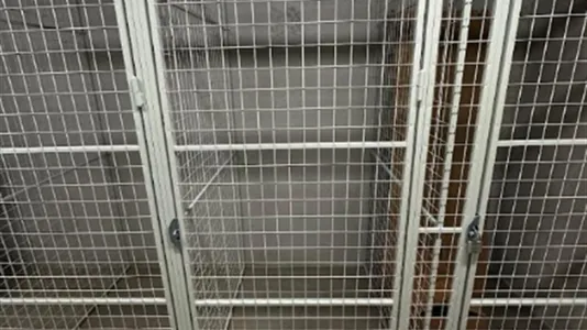 Apartments in Stockholm West - photo 14