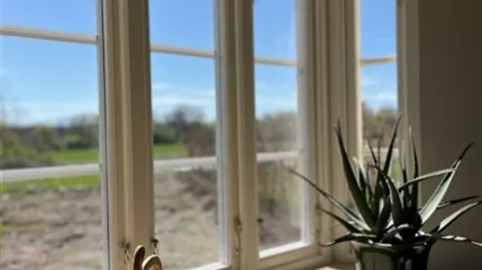 Apartments in Sigtuna - photo 7