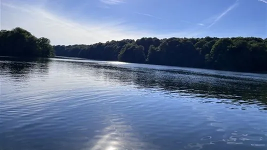 Houses in Simrishamn - photo 5