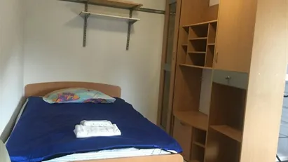 Room for rent in Besnica, Osrednjeslovenska