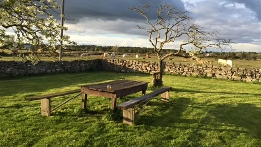 Houses in Gotland - photo 4