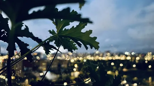 Apartments in Malmö City - photo 5