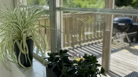 Houses in Härryda - photo 13