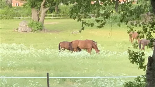 Apartments in Danderyd - photo 8