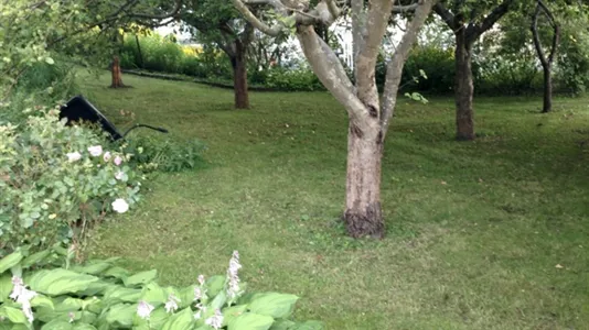 Houses in Stockholm South - photo 10