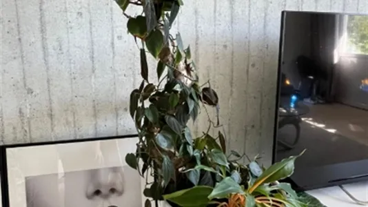 Apartments in Nacka - photo 8