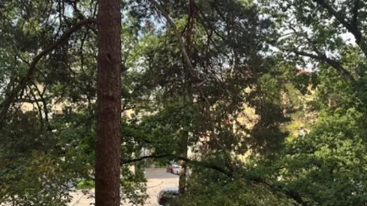 Apartments in Kungsholmen - photo 7