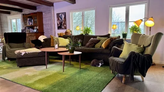 Houses in Båstad - photo 14