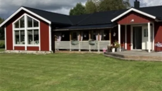 Houses in Umeå - photo 7