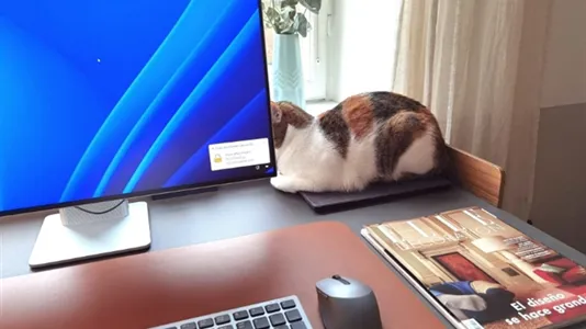 Apartments in Kungsholmen - photo 9