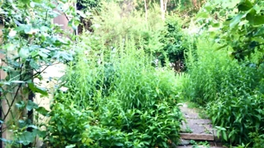 Houses in Stockholm South - photo 11