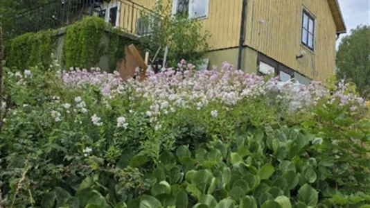 Houses in Sigtuna - photo 10