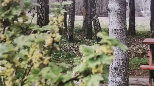 Apartments in Hässleholm - photo 5