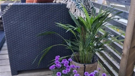 Apartments in Huddinge - photo 10