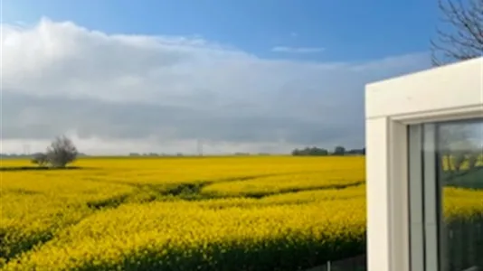 Houses in Trelleborg - photo 4