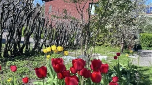 Apartments in Lundby - photo 5