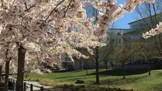 Apartments in Hammarbyhamnen - photo 11