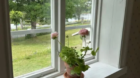 Houses in Älvkarleby - photo 7