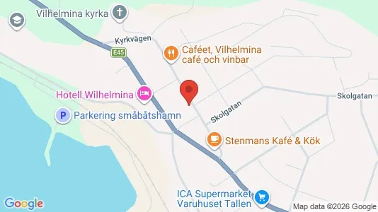 Apartments for rent in Vilhelmina - Photo from Google Street View