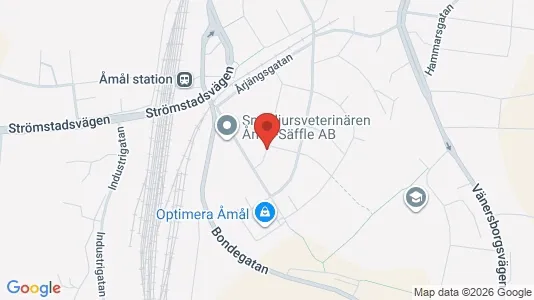 Apartments for rent i Åmål - kort over placeringen