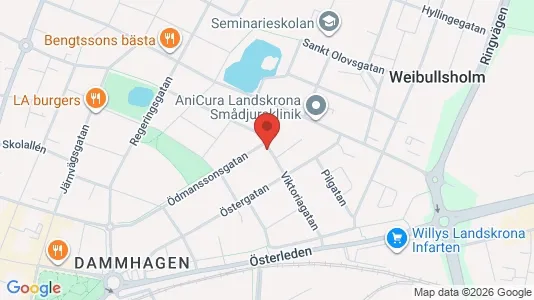 Apartments for rent in Landskrona - Photo from Google Street View