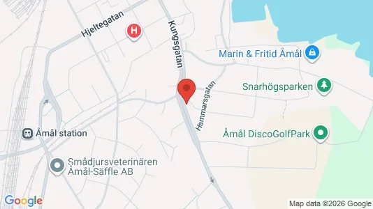 Apartments for rent i Åmål - kort over placeringen