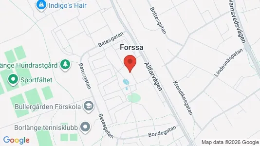 Apartments for rent i Borlänge - kort over placeringen