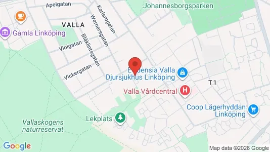 Apartments for rent i Linköping - kort over placeringen