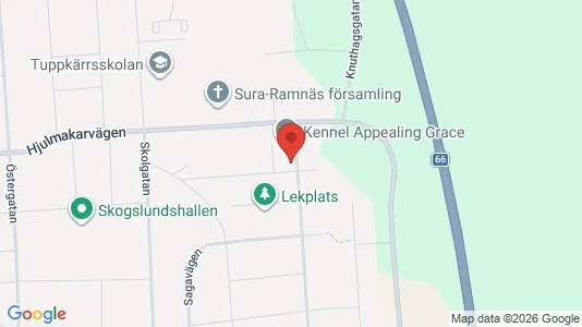 Apartments for rent i Surahammar - kort over placeringen