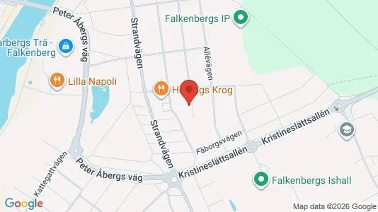 Apartments for rent i Falkenberg - kort over placeringen